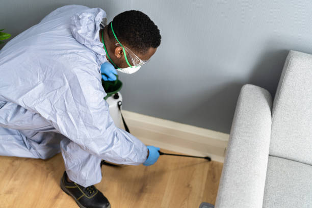 Best Residential Pest Control  in Vienna, IL